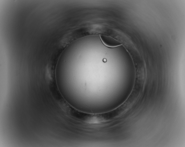 X0000092220755200709141044