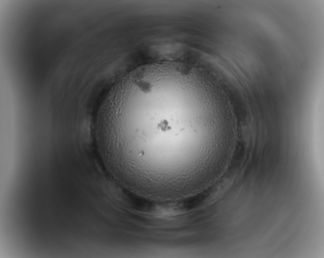 X0000092220757200709141044
