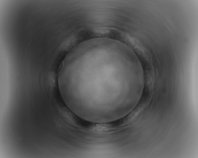 X0000092220758200709141044