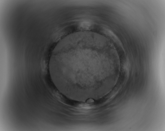X0000092220759200709141044