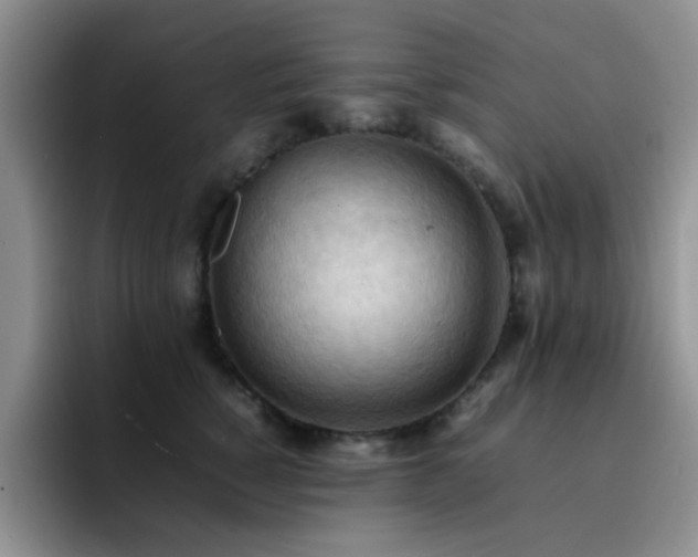 X0000092220760200709141044