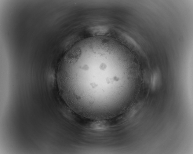 X0000092220761200709141044