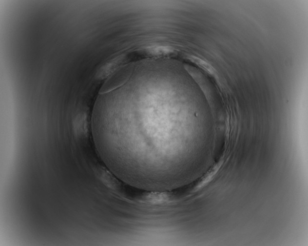X0000092220762200709141044