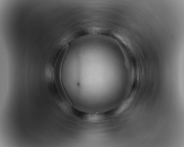 X0000092220766200709141044