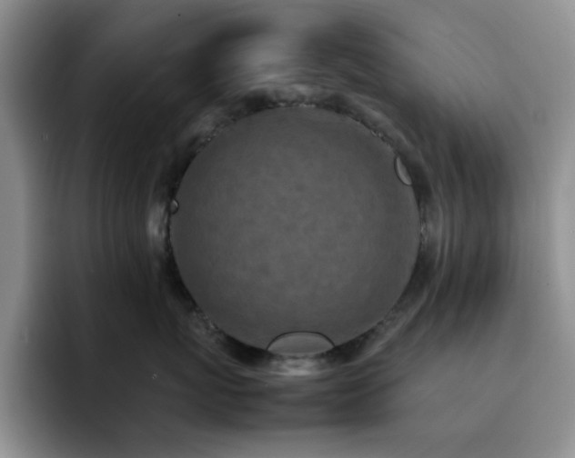 X0000092220767200709141044