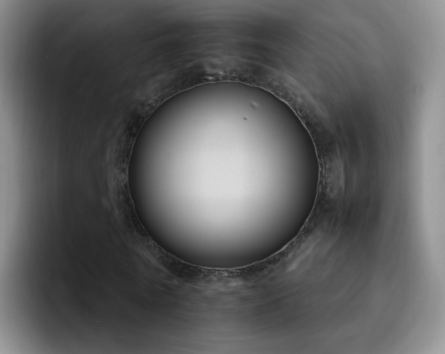 X0000092220770200709141044