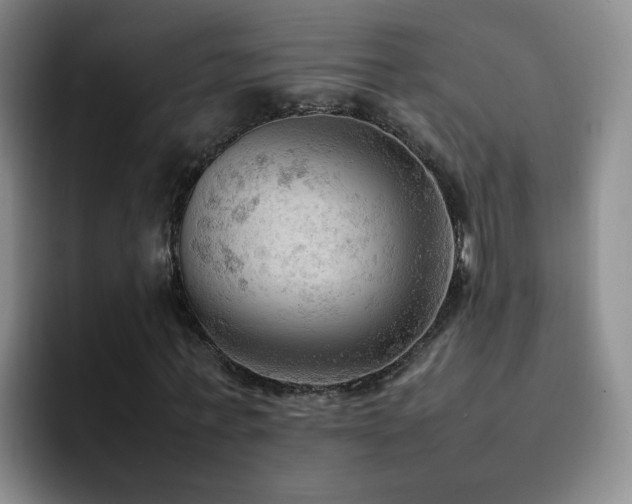 X0000092220771200709141044