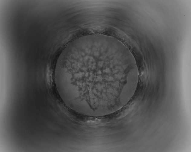 X0000092220772200709141044
