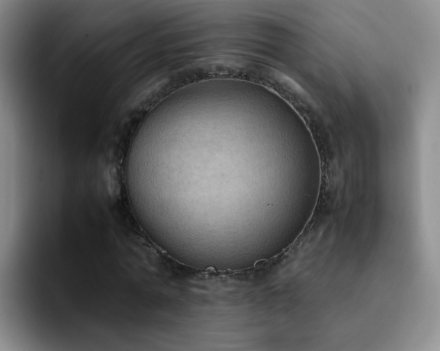 X0000092220774200709141044