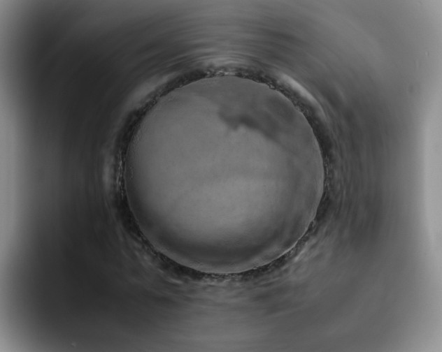 X0000092220775200709141044