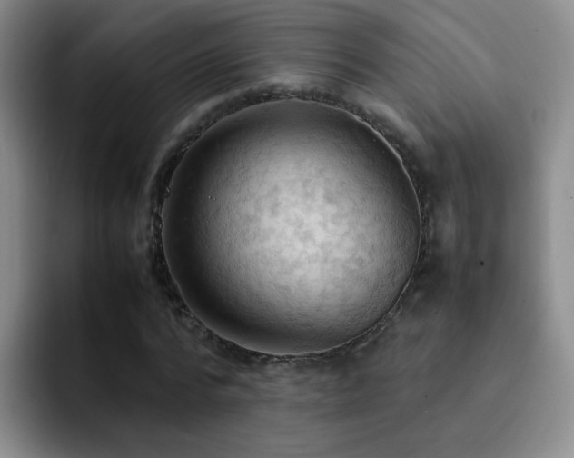 X0000092220776200709141044