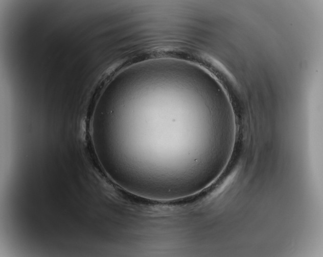 X0000092220777200709141044