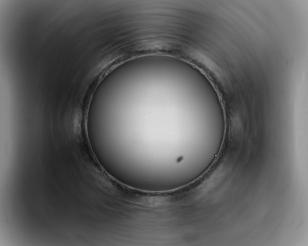 X0000092220778200709141044