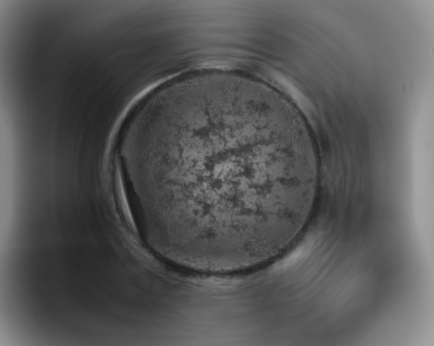 X0000092220779200709141044