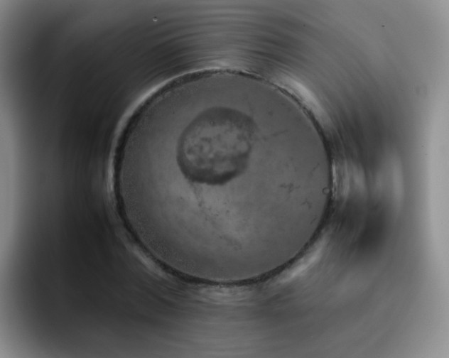 X0000092220780200709141044