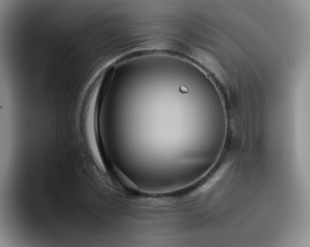 X0000092220781200709141044