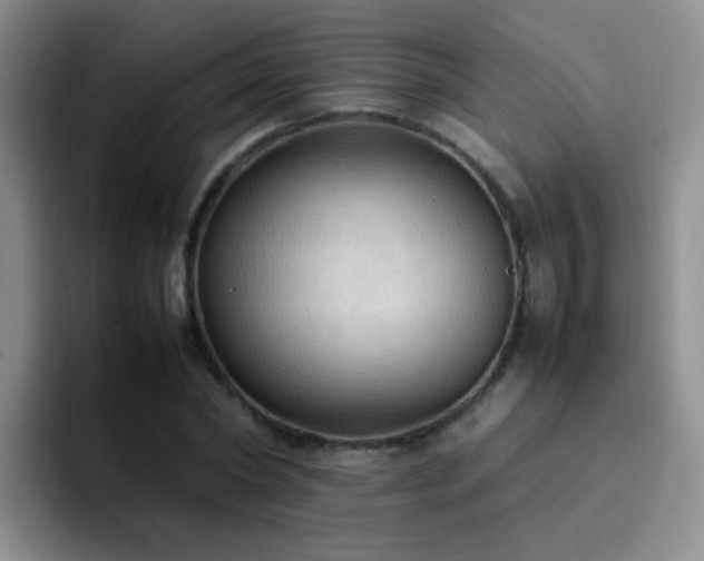 X0000092220782200709141044