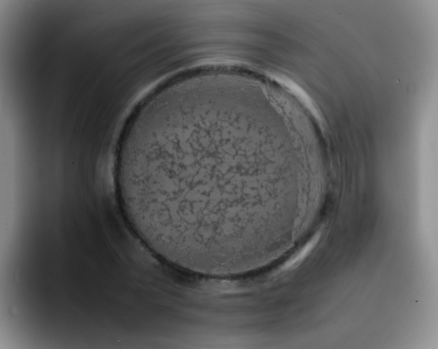 X0000092220783200709141044