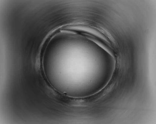 X0000092220784200709141044