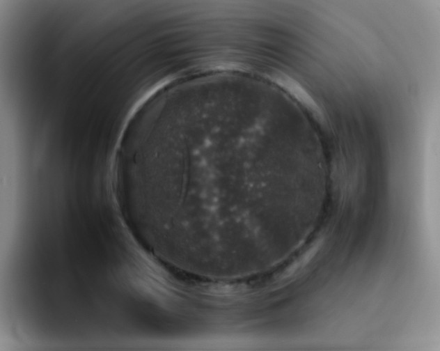 X0000092220790200709141043