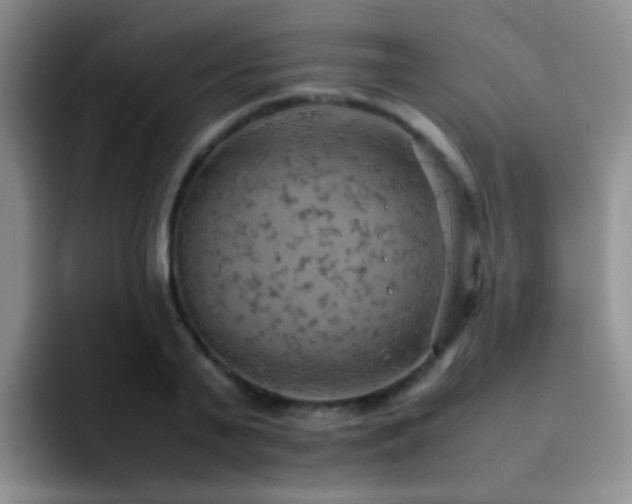 X0000092220791200709141043