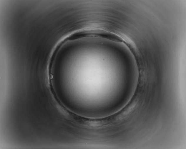 X0000092220792200709141043