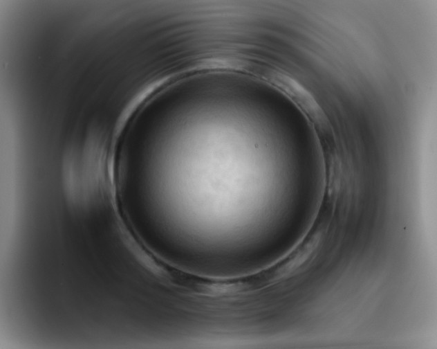 X0000092220796200709141043
