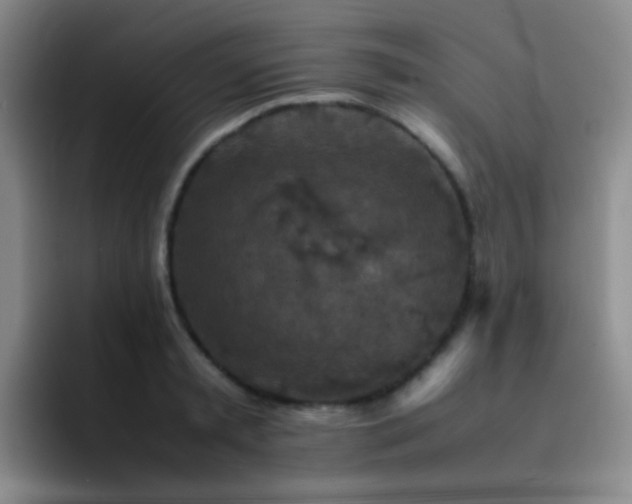 X0000092220797200709141043