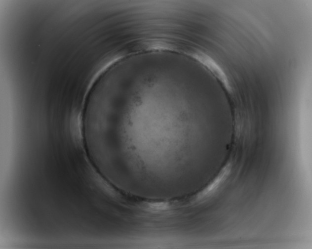 X0000092220798200709141043