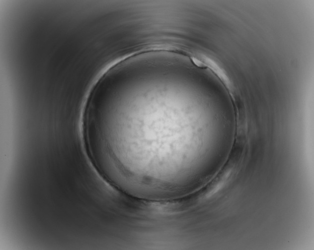 X0000092220803200709141043