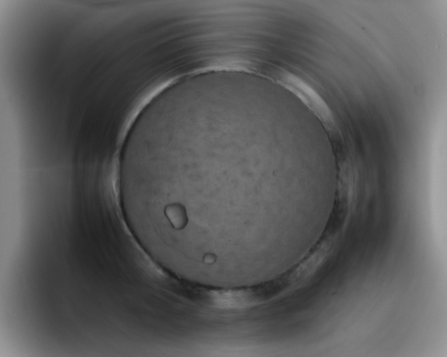 X0000092220804200709141043
