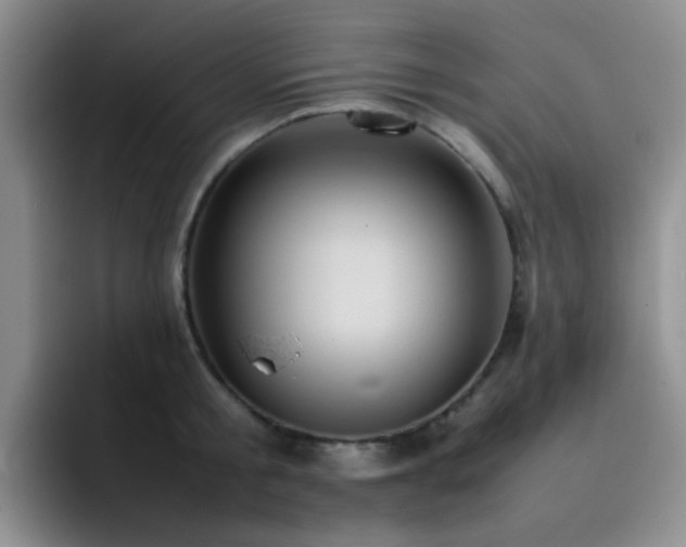 X0000092220805200709141043