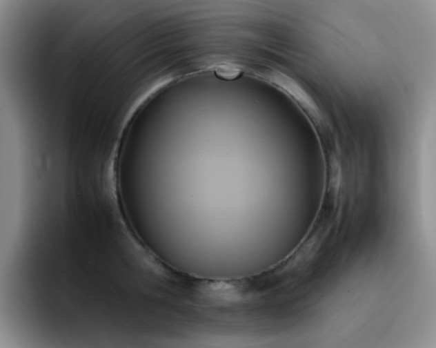 X0000092220806200709141043
