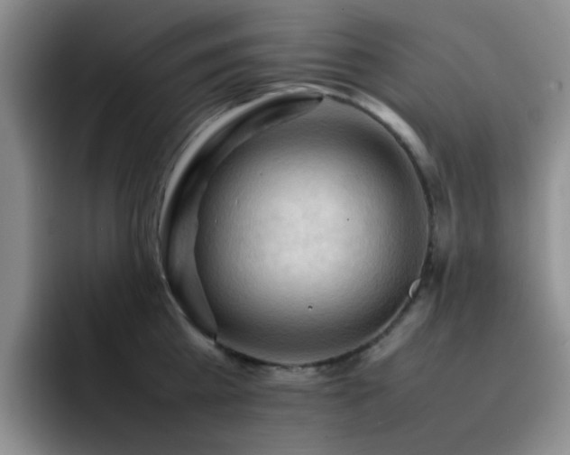 X0000092220809200709141043