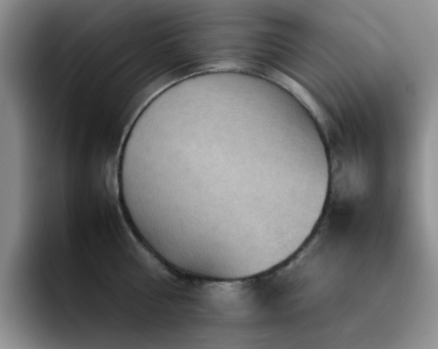 X0000092220810200709141043