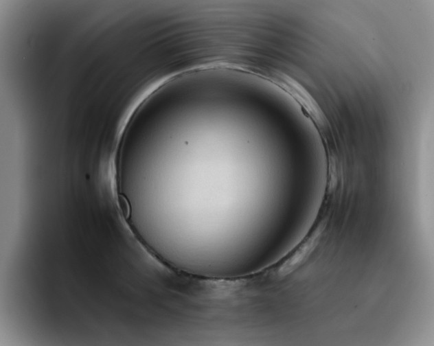 X0000092220812200709141043