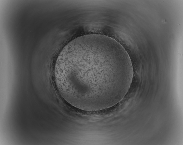 X0000092220817200709141042