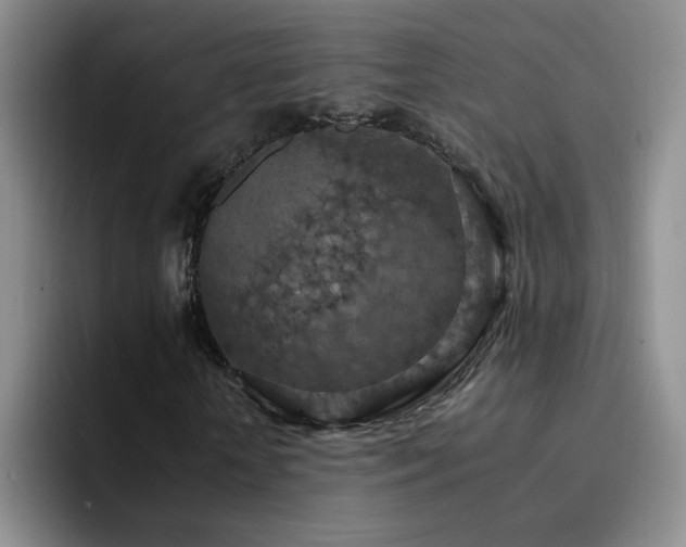 X0000092220818200709141042