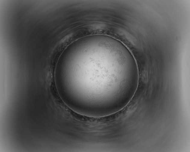 X0000092220821200709141042
