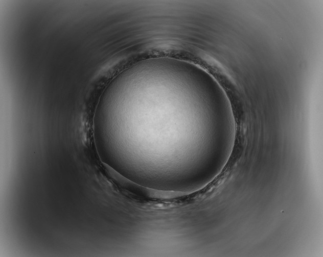 X0000092220822200709141043