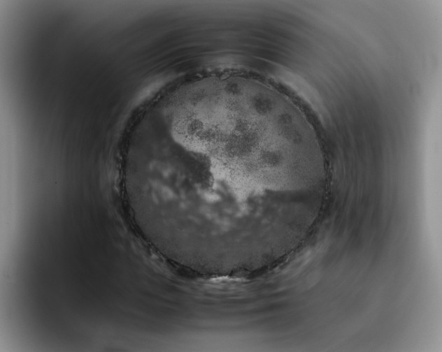 X0000092220823200709141043