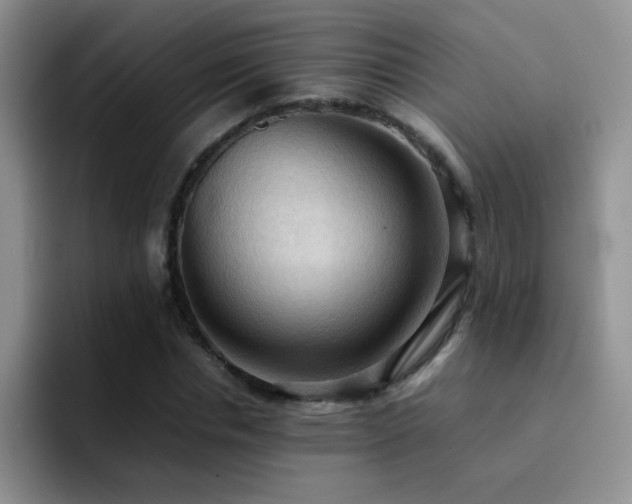 X0000092220826200709141043