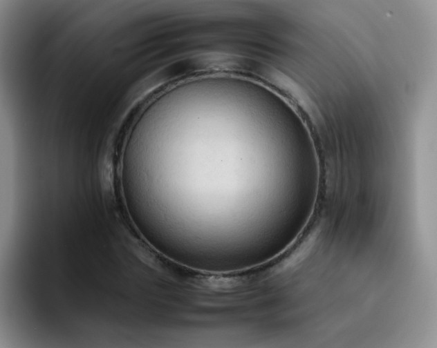 X0000092220827200709141043