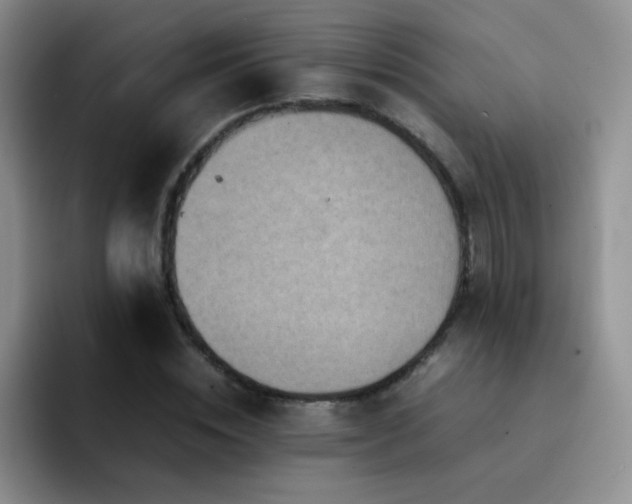 X0000092220828200709141043