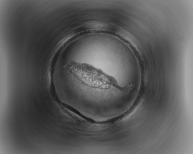 X0000092220829200709141043