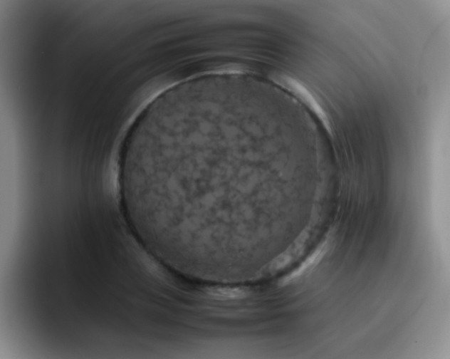 X0000092220835200709141043
