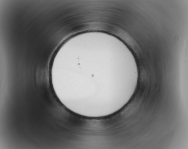 X0000092220836200709141043