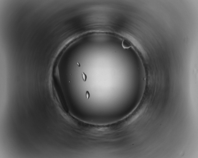 X0000092220837200709141043