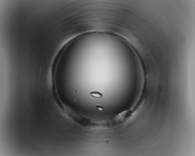 X0000092220838200709141043