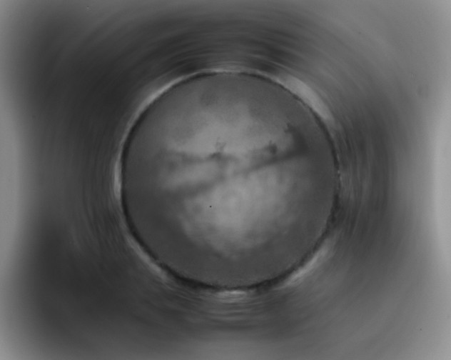 X0000092220839200709141043